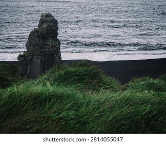 Dramatic view of Arnardrangur sea stack from Dyrhólaey Cape in Iceland, with Reynisfjara black sand beach and the Atlantic Ocean in the background. The iconic rock formation rises above the rugged coastline, surrounded by lush green summer grass and a rainy, mysterious atmosphere beneath a dark overcast sky.