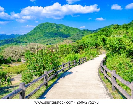 Dramatic view of blue sea and green leaves in summer, Ishigaki Island in Okinawa in Japan, Travel or nature