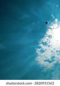 Dramatic view of a bright blue sky with sunbeams piercing through white clouds, featuring a high-flying black kite and a small airplane in the distance.
