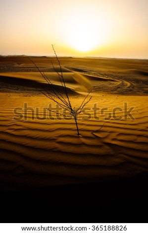 Similar – side wind Desert Sand Dune