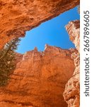 Dramatic view looking up at Bryce Canyon cliffs and blue sky framed by red rock walls in Utah, USA.