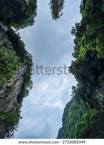 Dramatic view looking up at lush green limestone cliffs and cloudy sky