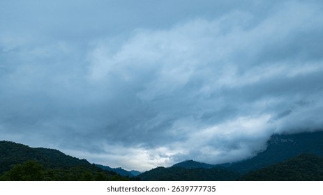 A dramatic view of a lush, forested mountain peak shrouded in thick clouds, capturing the raw beauty and mystique of nature under an overcast sky.