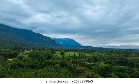 A dramatic view of a lush, forested mountain peak shrouded in thick clouds, capturing the raw beauty and mystique of nature under an overcast sky.