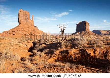Dramatic view of the Monument Valley's magnificent butte and mittens lit up during a sunset.
Iconic butte, spire and mitten formations used as a backdrop in many old western movies. Navajo, Arizona, USA