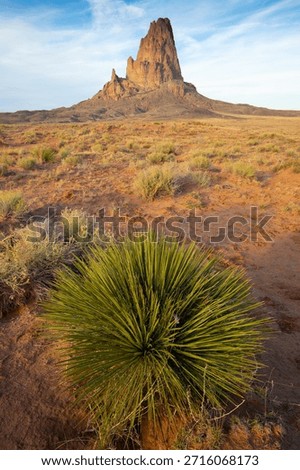 Dramatic view of the Monument Valley's magnificent butte and mittens lit up during a sunset.
Iconic butte, spire and mitten formations used as a backdrop in many old western movies. Navajo, Arizona, USA