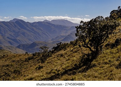 Dramatic view over the vast, seemingly endless mountainous landscape of Malolotja Nature reserve in Eswatini with protea bushes growing in the foreground.