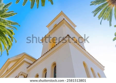 Dramatic view of palm trees surrounding the First Church of Christ, Scientist in Riverside, California.