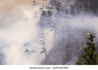 Dramatic view of smoke engulfing trees on rocky forest hills, Squamish, BC, Canada