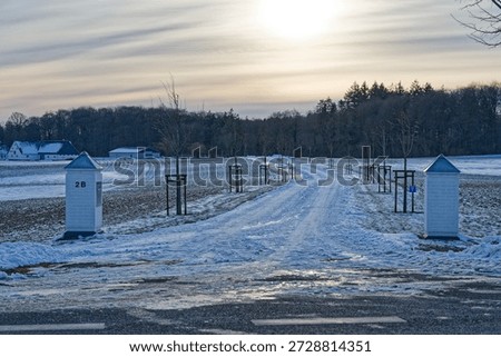 Dramatic view of a snow-dusted path leading towards a forest in Kollund, Denmark, under a bright winter sun. Perfect for Scandinavian travel, nature calendars and seasonal greetings.
