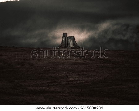 A dramatic view of a soily landscape with a lonely tree bark in the middle on a foggy weather