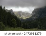 A dramatic view of the Tatra Mountains with misty clouds hanging low over the peaks and dense evergreen forests in the foreground, creating a serene and mysterious atmosphere in Zakopane, Poland.