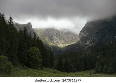 A dramatic view of the Tatra Mountains with misty clouds hanging low over the peaks and dense evergreen forests in the foreground, creating a serene and mysterious atmosphere in Zakopane, Poland. - Powered by Shutterstock
