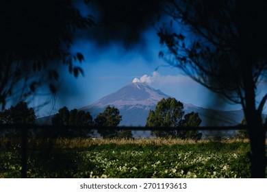 Dramatic view of the Popocatépetl volcano in Central Mexico with a plume, artistically framed by dark trees and foliage in the foreground.