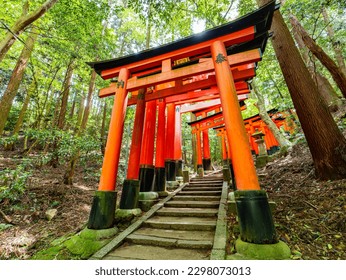 Dramatic view of walking in red gates 