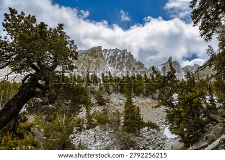 Dramatic view of Wheeler Peak's rugged, snow-dusted limestone cliffs rising above a rocky talus slope framed by twisted ancient pine trees under a blue sky with dramatic clouds in Great Basin National Park, Nevada.