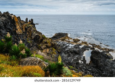 Dramatic volcanic cliffs meet the vast Atlantic Ocean, showcasing unique flora and natural rock pools along the shore