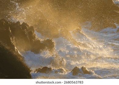 Dramatic wave impact on dark Irish rocks, golden hour light illuminating spray and coastal power