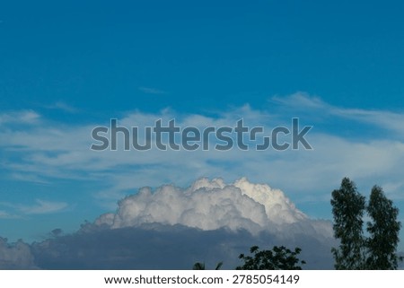 Dramatic white cumulus cloud forming under a bright blue sky above green tree tops on a summer afternoon.