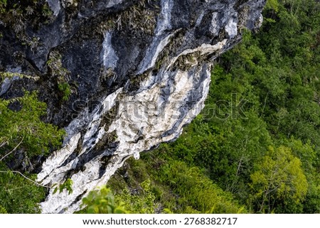 Dramatic white and gray limestone cliff face rising above a dense green tropical forest under sunlight.