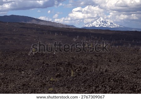 Dramatic wide-angle view of a dark lava field with sparse new growth, contrasting with a majestic snow-capped mountain under a cloudy sky. Ideal for nature, travel, and environmental themes.