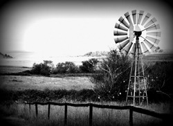 Dramatic Windmill Scenery