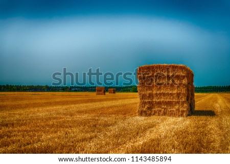 Similar – yellow straw bales on field