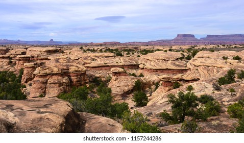the dramatically eroded rock formations and buttes of spring canyon along  the slickrock trail in the needles district in canyonlands national park, near moab, utah 