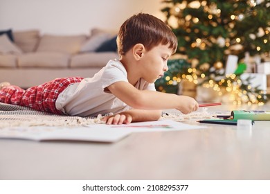Drawing by using pencil. Little boy is in room with christmas tree is on the floor.