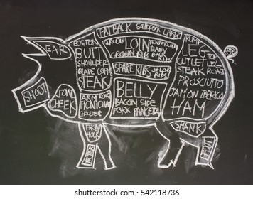 Drawing pig by chalk explain name of parts.