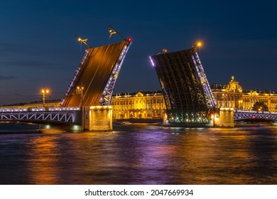 The drawn Palace bridge and the Winter Palace in St. Petersburg with night illumination, Russia