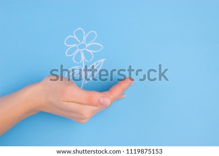 Similar – Image, Stock Photo spring flowers Beautiful