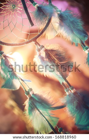 dream catcher on a magical forest