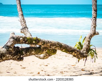 Dream Like Sight Of A Beach In Brazil