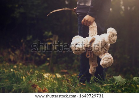 Dreamatic view Kid holding teddy waking alone in the forest, Rear view of a Boy standing alone holding his ted, Spoiled child, lost children or homeless kid concept