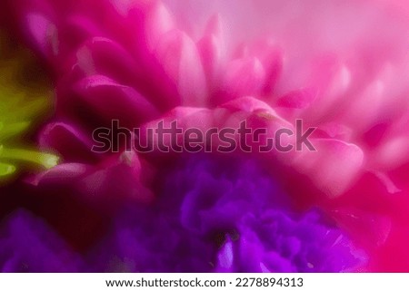 dream-like close up soft focus of pink and purple flowers