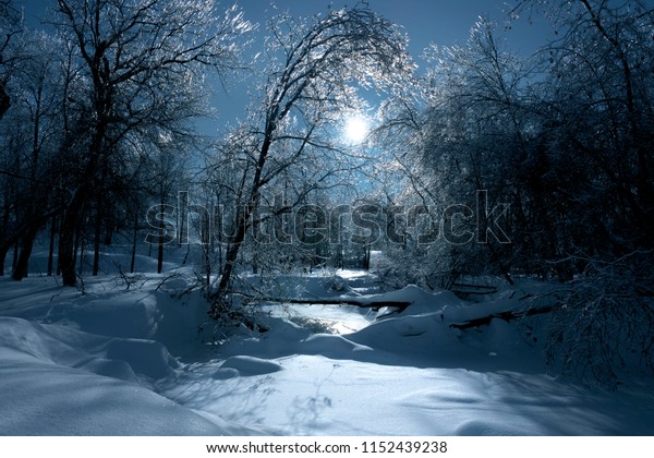 Dreamlike forest in the moonlight night. The\
moon shines behind the top of frosty trees. The vegetation is\
covered with ice and snow. The light of the moon reflects on the\
surface of a frozen\
stream\
