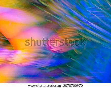 Dreamlike motion blur of garden plants illuminated by holiday lights at night. Light painting.