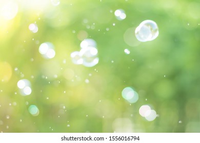 Dreamy Abstract background from soap bubble in the air with nature defocused