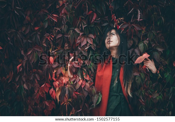 Dreamy Beautiful Girl Long Natural Black Stock Image Download Now