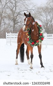 Dreamy christmas image of asaddle horse wearing a beautiful wreath in snowfall