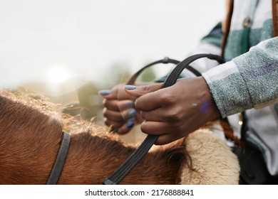 Dreamy closeup of young woman riding horse in sunlight focus on female hands holding reins, copy space - Powered by Shutterstock