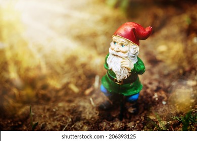 Dreamy Garden Dwarf In Sun Light