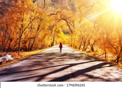 Dreamy Psychedelic Scene of Girl walking alone a road surrounded by Orange Trees during Sunny Day. Taken in Zion National Park, Utah, United States of America.