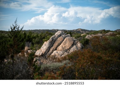 dreamy scenic Landscape with Rocky Outcrops and Lush Vegetation - Powered by Shutterstock