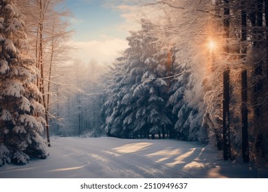 Dreamy Winter Landscape, snow and sun, surrounded by trees. Lapland, Christmas. - Powered by Shutterstock