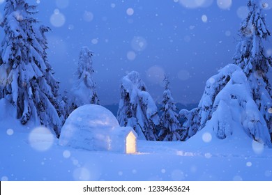 Dreamy Winter Scene With An Igloo Snow. Night View With Snowy Fir Trees And Snowdrift. Snowfall In A Mountain Forest