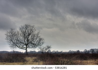 Dreary Day - campestre.al.gov.br