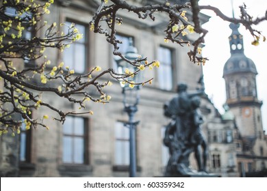 Dresden, buildings, street, architecture, stone