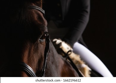 Dressage horse with rider in LowKey technique, close-up of the horse's head in the eye cutout, but you can still see a section of the rider in the focus. Right side still space for text. - Shutterstock ID 1662196612